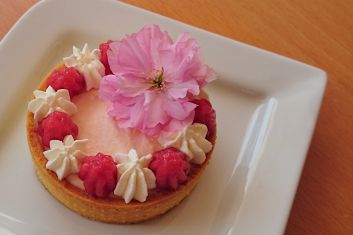 Grapefruit delicate tartlets