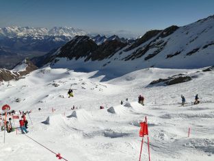 Daniel Honzig na FIS Mistrovství Německa, Rakouska a Švýcarska