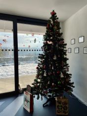 Vánoční strom ve společných prostorech