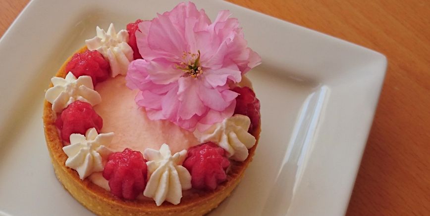 Grapefruit delicate tartlets