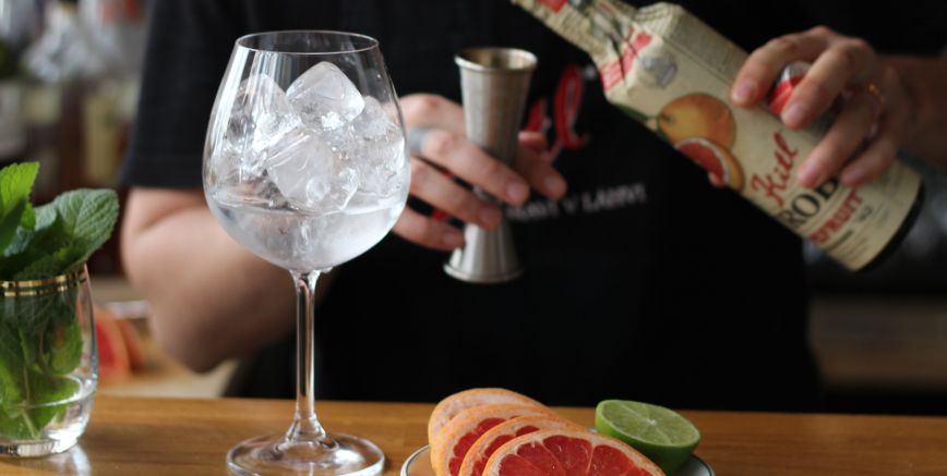 Grepový Gin-Tonic koktejl