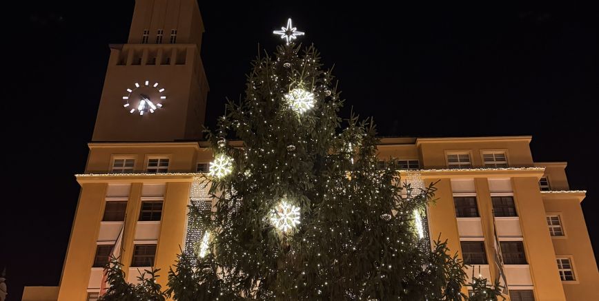 Darovali jsme vánoční strom do Jablonce nad Nisou